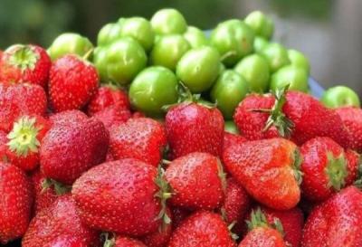 Mövsümü olmayan meyvələr  sağlamlıq üçün təhlükəlidirmi?